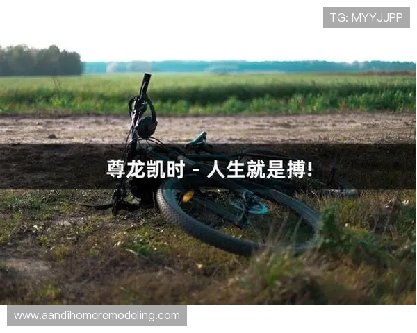 深入了解尊龙凯时人生的转折与决策